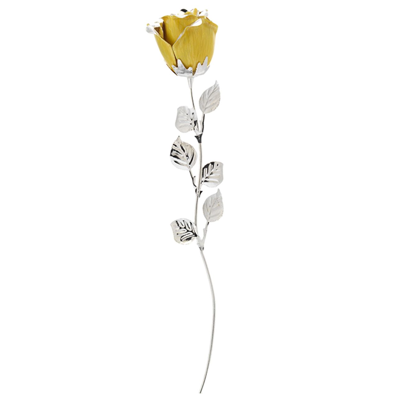 ROSA CM 33 - GIALLA
